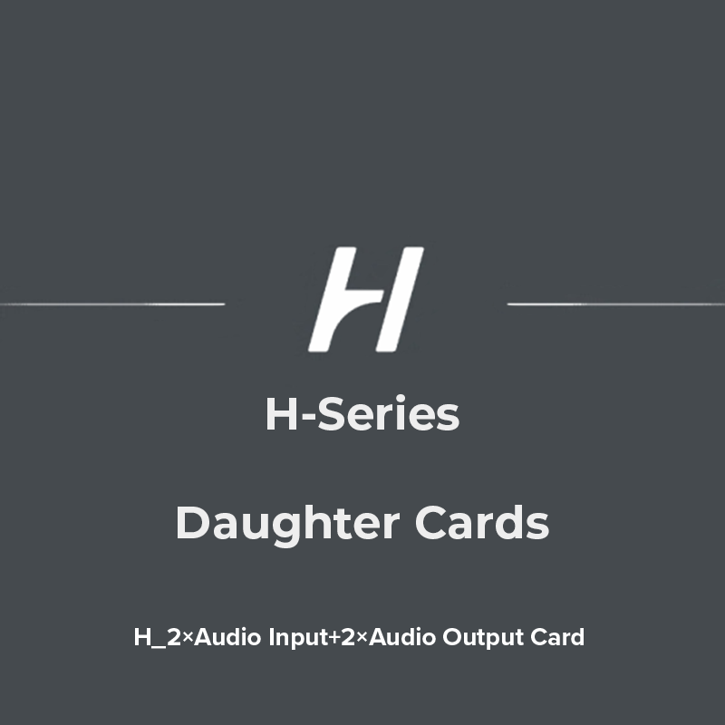 H_2×Audio Input+2×Audio Output Card